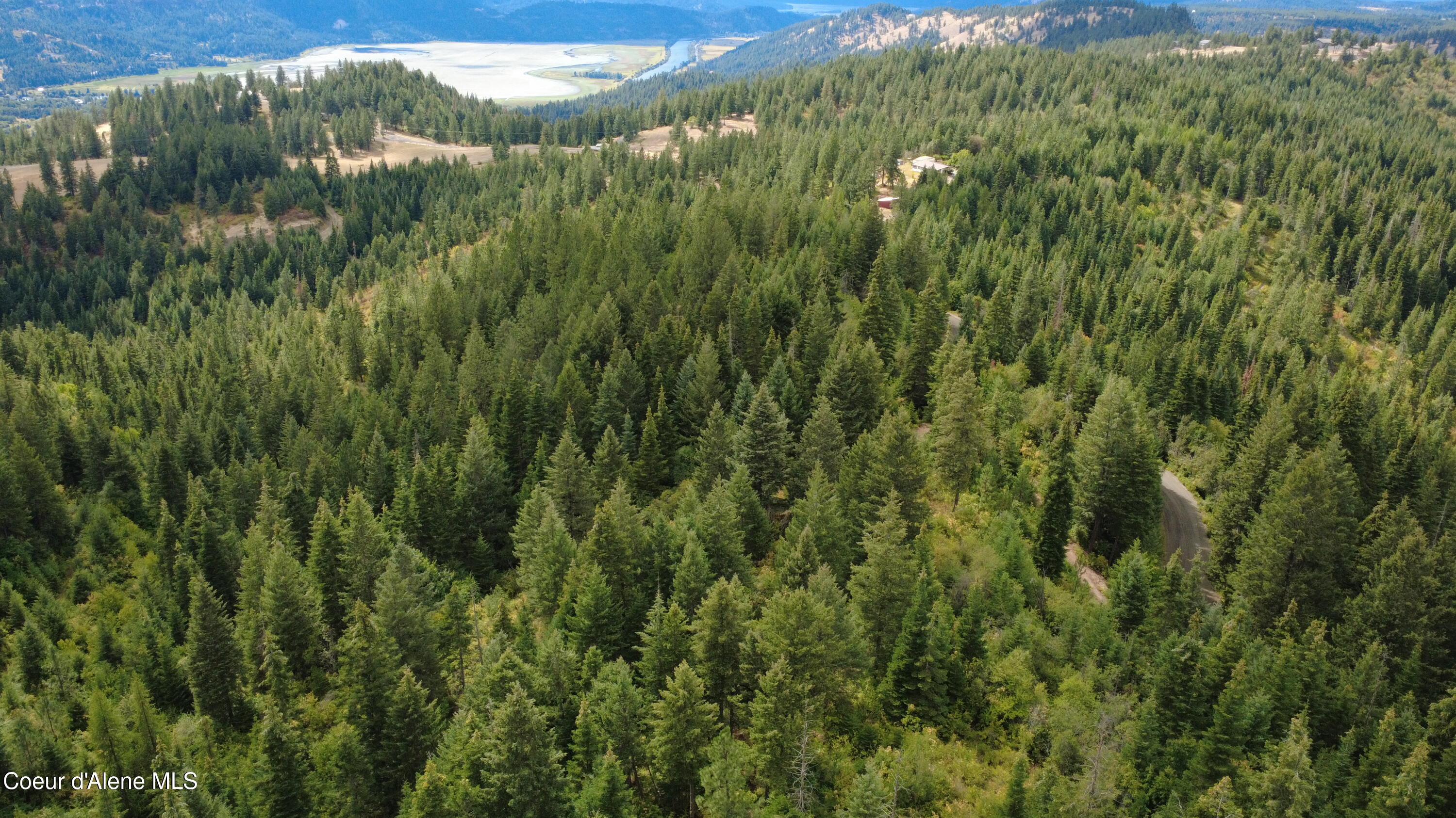 Nka Ridgeview Drive St. Maries, ID 83861 - Photo 10 of 11 Access road off county road