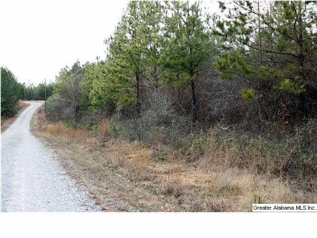 0 Hughes Road, Unit LOT 2A Columbiana, AL 35051 - Photo 4 of 4
