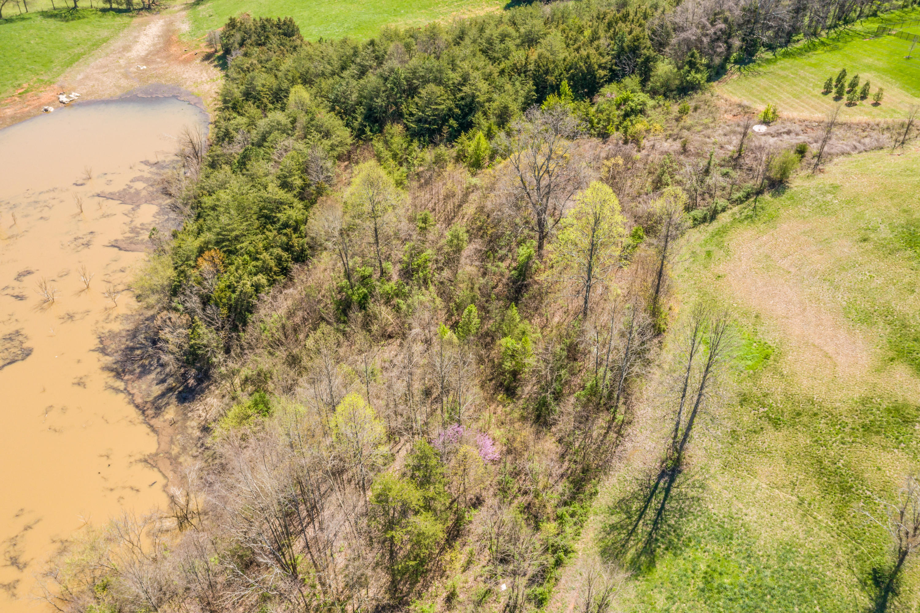 3475 Heathcliff Road Morristown, TN 37813 - Photo 10 of 12 Exterior-3