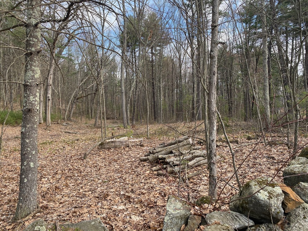 0 Doane Road Ware, MA 01082 - Photo 3 of 5 Gallery Image 3