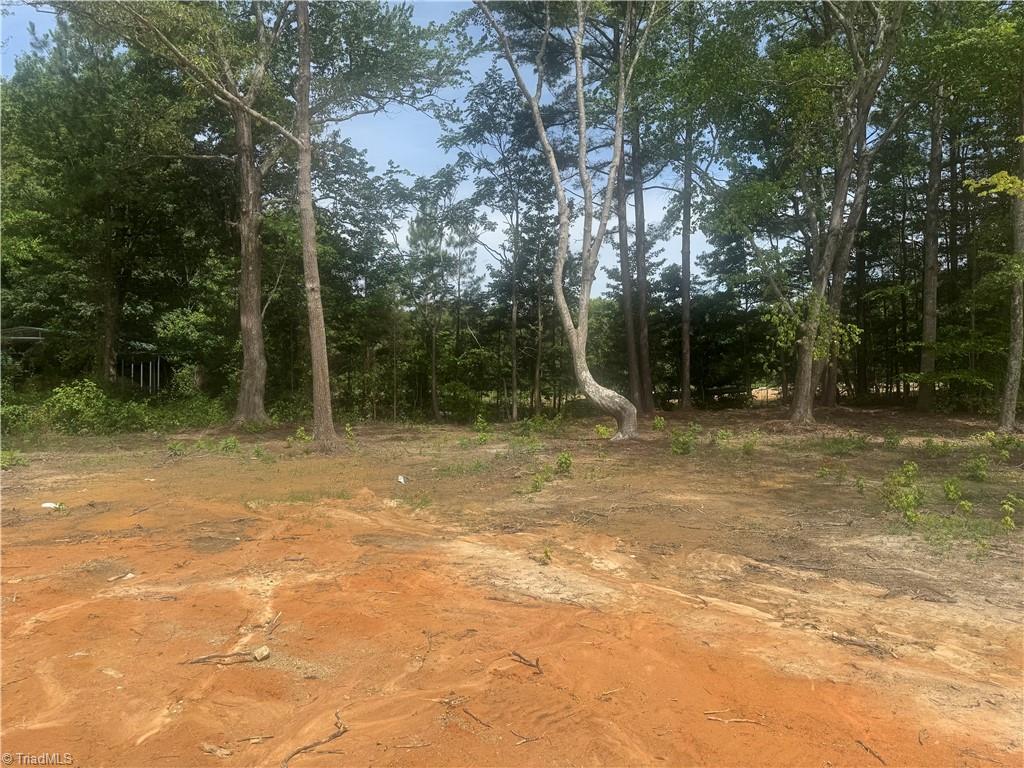 6787 Ridge Road Lexington, NC 27295 - Photo 19 of 19
