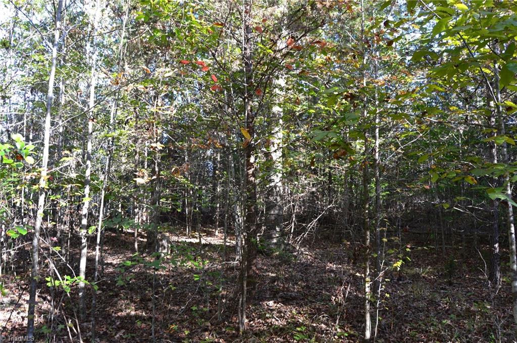 501 Barley Road Reidsville, NC 27320 - Photo 20 of 48 Gallery Image 20