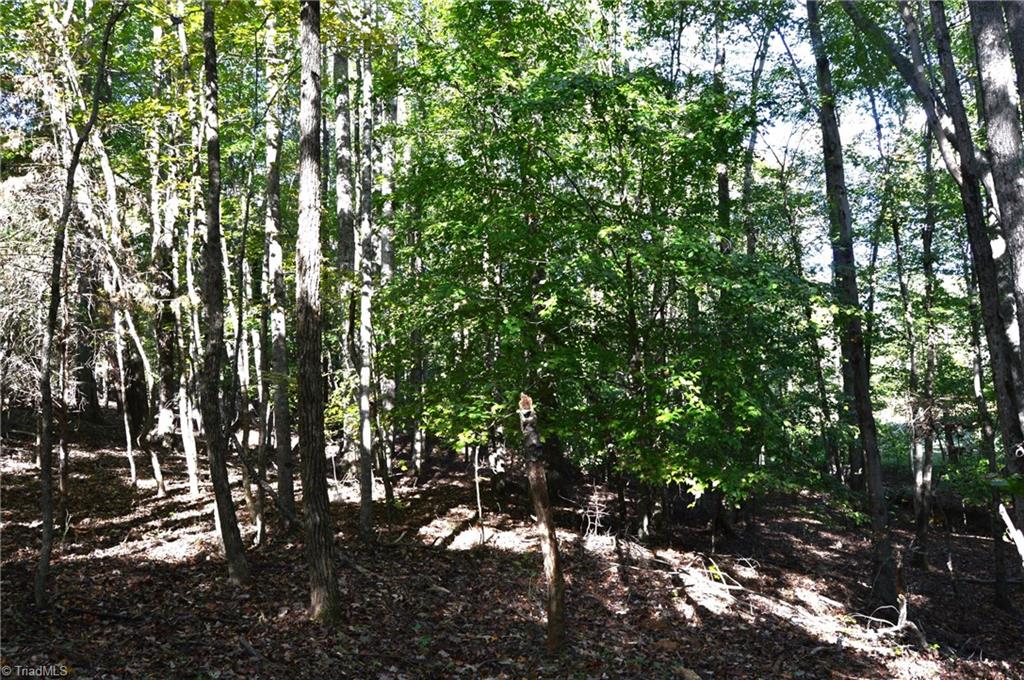 501 Barley Road Reidsville, NC 27320 - Photo 26 of 48 Gallery Image 26