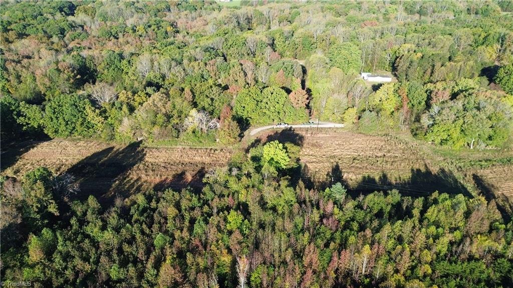 501 Barley Road Reidsville, NC 27320 - Photo 44 of 48 Gallery Image 44