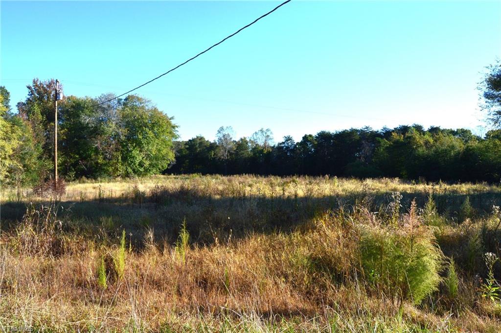 501 Barley Road Reidsville, NC 27320 - Photo 6 of 48 Gallery Image 6
