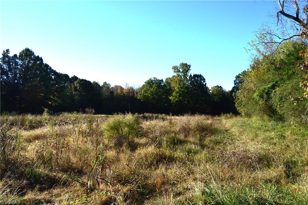 501 Barley Road Reidsville, NC 27320 - Photo 7 of 48 Gallery Image 7
