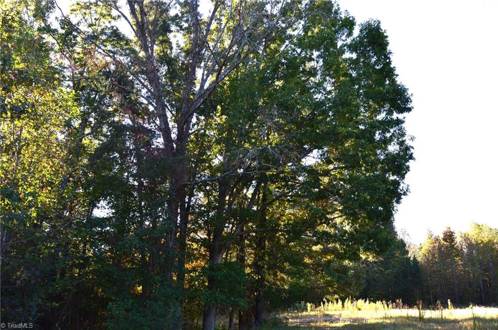 501 Barley Road Reidsville, NC 27320 - Photo 8 of 48 Gallery Image 8
