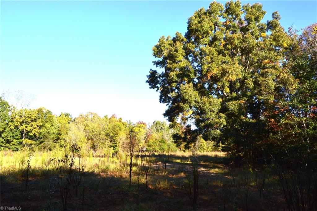 501 Barley Road Reidsville, NC 27320 - Photo 9 of 48 Gallery Image 9