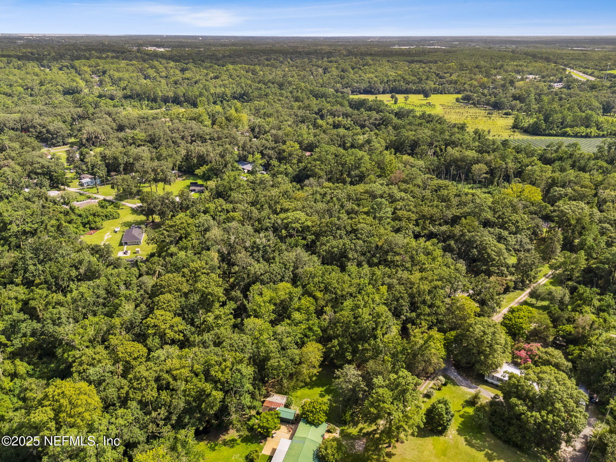 0 Moncrief Dinsmore Road Jacksonville, FL 32219 - Photo 2 of 25 a view of a green field with lots of bushes