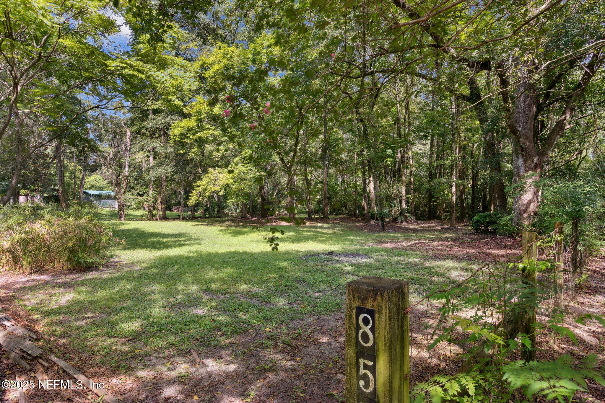 0 Moncrief Dinsmore Road Jacksonville, FL 32219 - Photo 3 of 25 a view of a yard with an trees