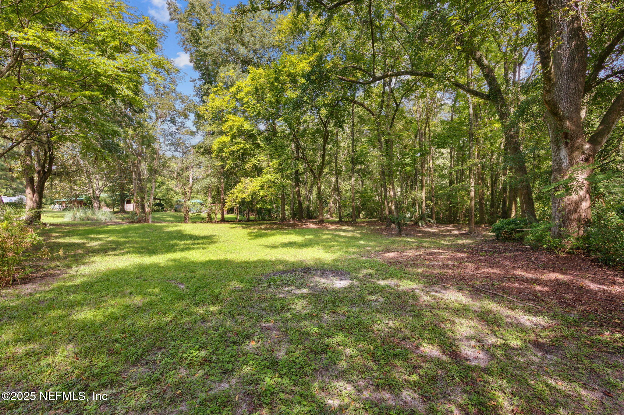 0 Moncrief Dinsmore Road Jacksonville, FL 32219 - Photo 7 of 25 a view of outdoor space with trees all around