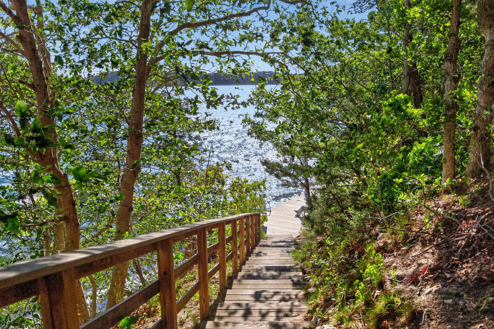7 Valley Road Brewster, MA 02631 - Photo 41 of 49 90-PF0A4293
