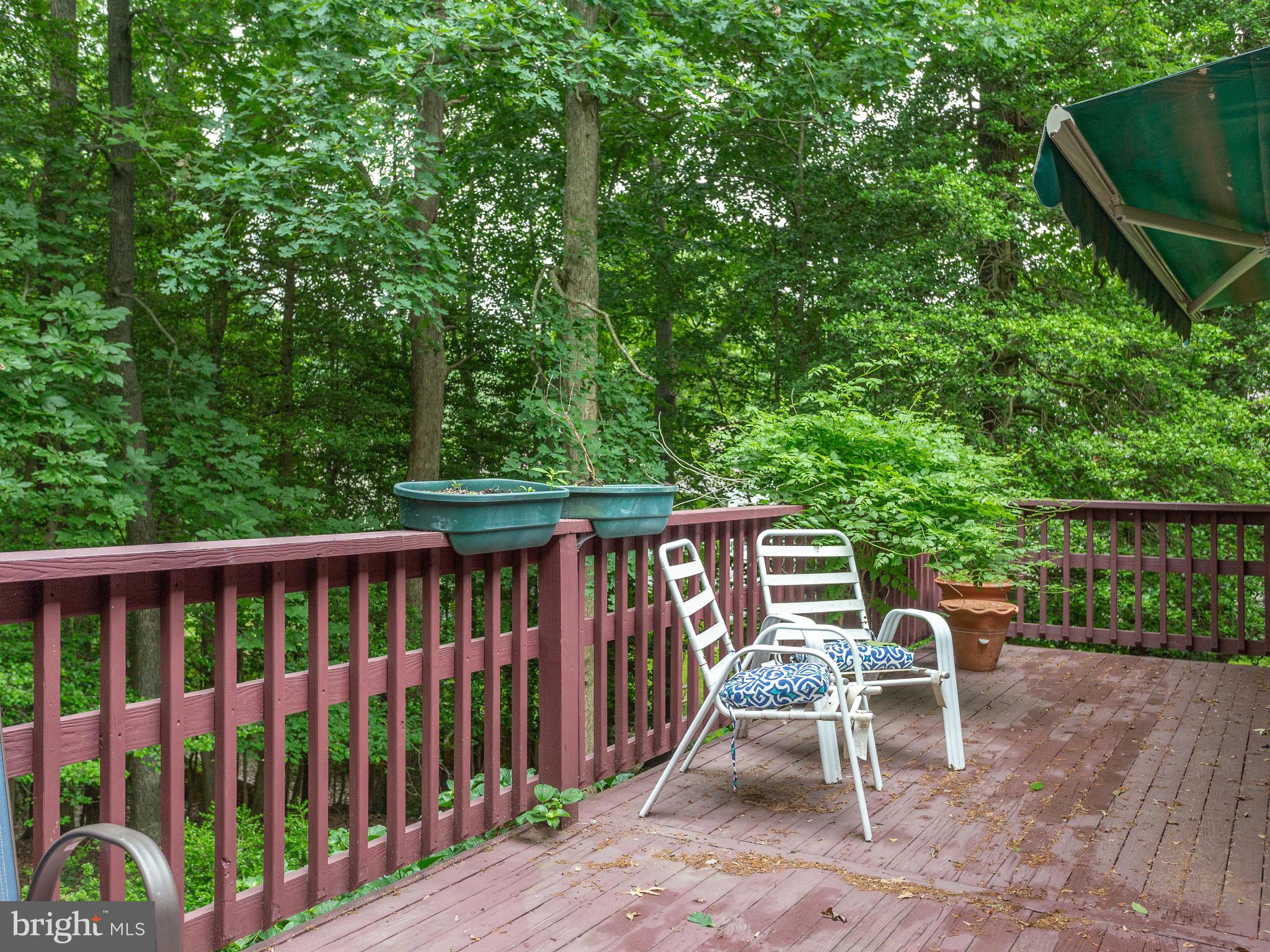 2583 Golfers Ridge Road Annapolis, MD 21401 - Photo 29 of 29 Back deck