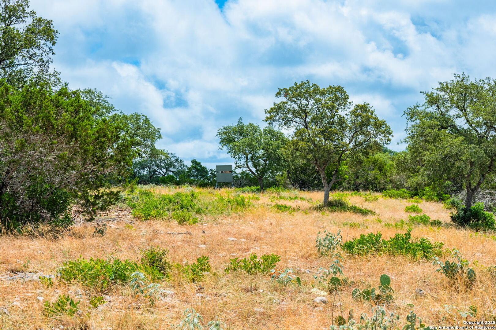 485 Mitchell Ranch Road Camp Wood, TX 78833 - Photo 12 of 47