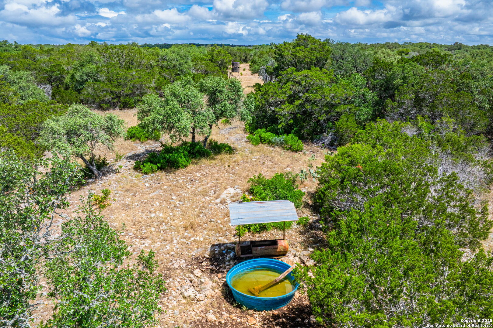 485 Mitchell Ranch Road Camp Wood, TX 78833 - Photo 15 of 47 an aerial view of a house with a swimming pool a yard and a large tree