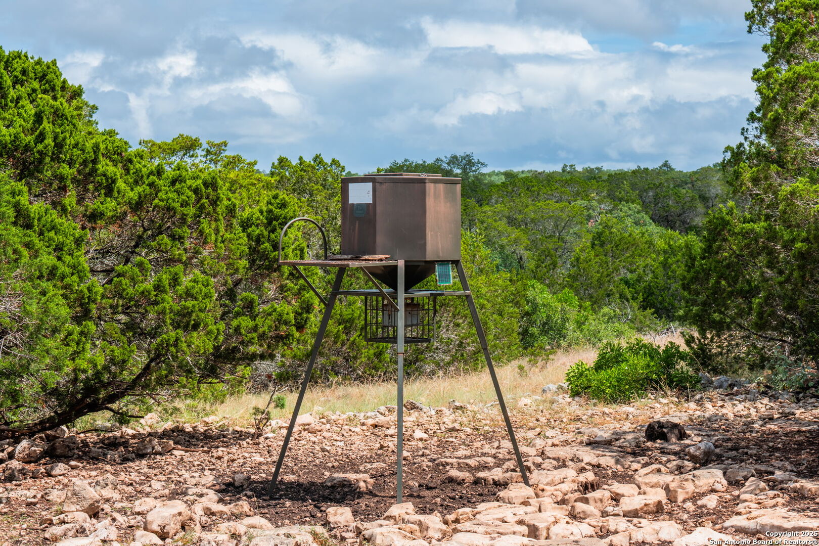 485 Mitchell Ranch Road Camp Wood, TX 78833 - Photo 19 of 47 a backyard of a house with lots of green space
