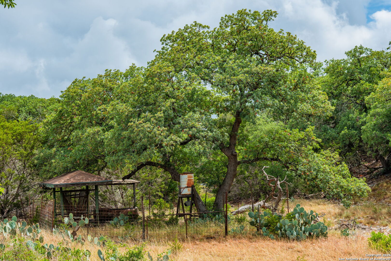 485 Mitchell Ranch Road Camp Wood, TX 78833 - Photo 25 of 47 a backyard of a house with lots of green space