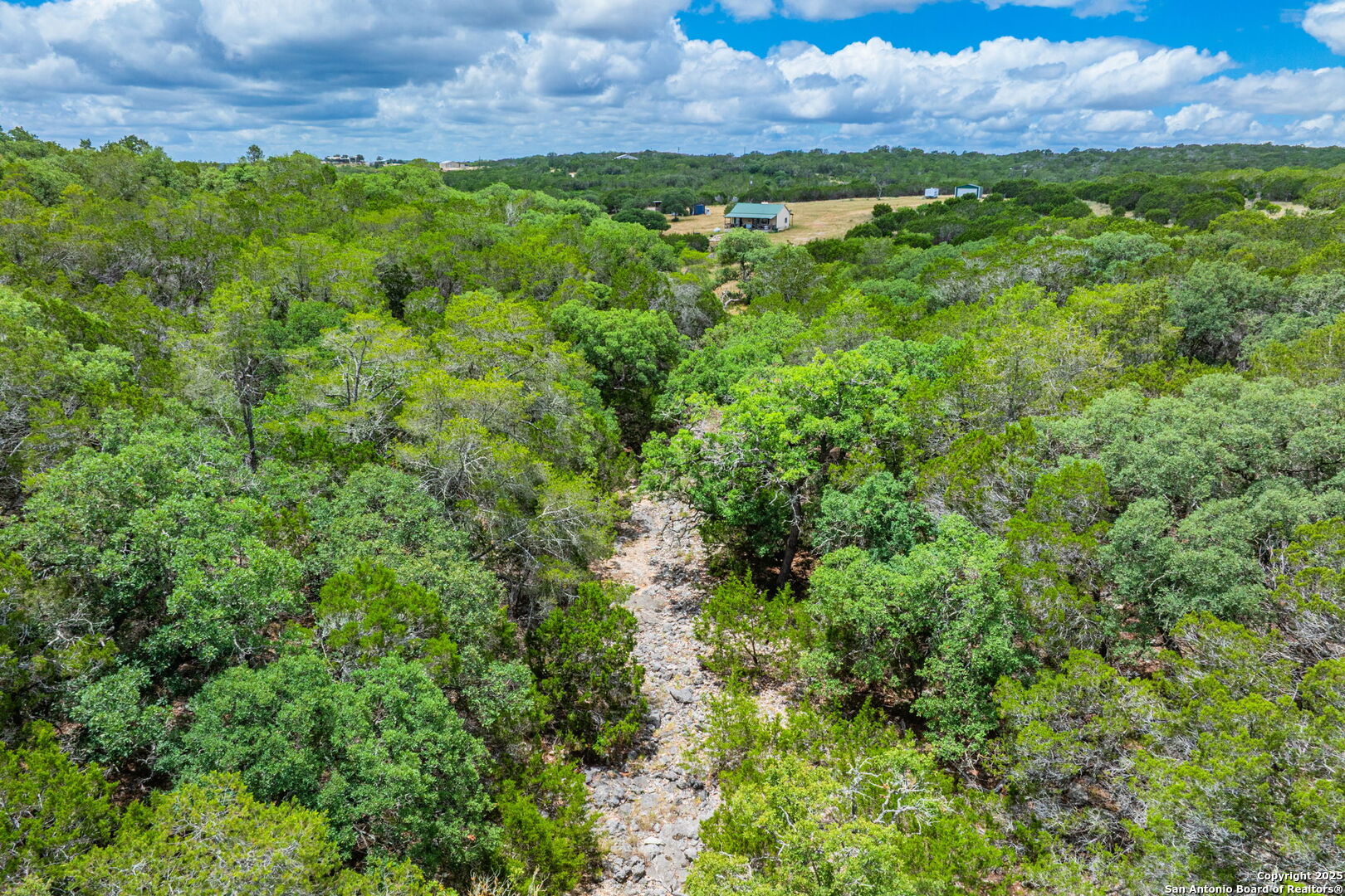 485 Mitchell Ranch Road Camp Wood, TX 78833 - Photo 6 of 47 a view of a bunch of trees in a field