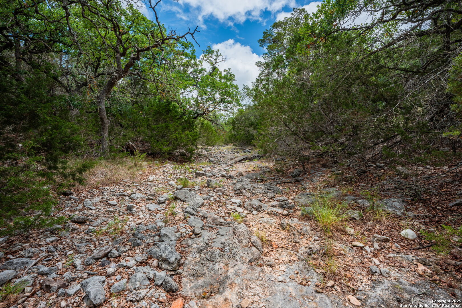 485 Mitchell Ranch Road Camp Wood, TX 78833 - Photo 8 of 47 a view of a forest with trees in the background