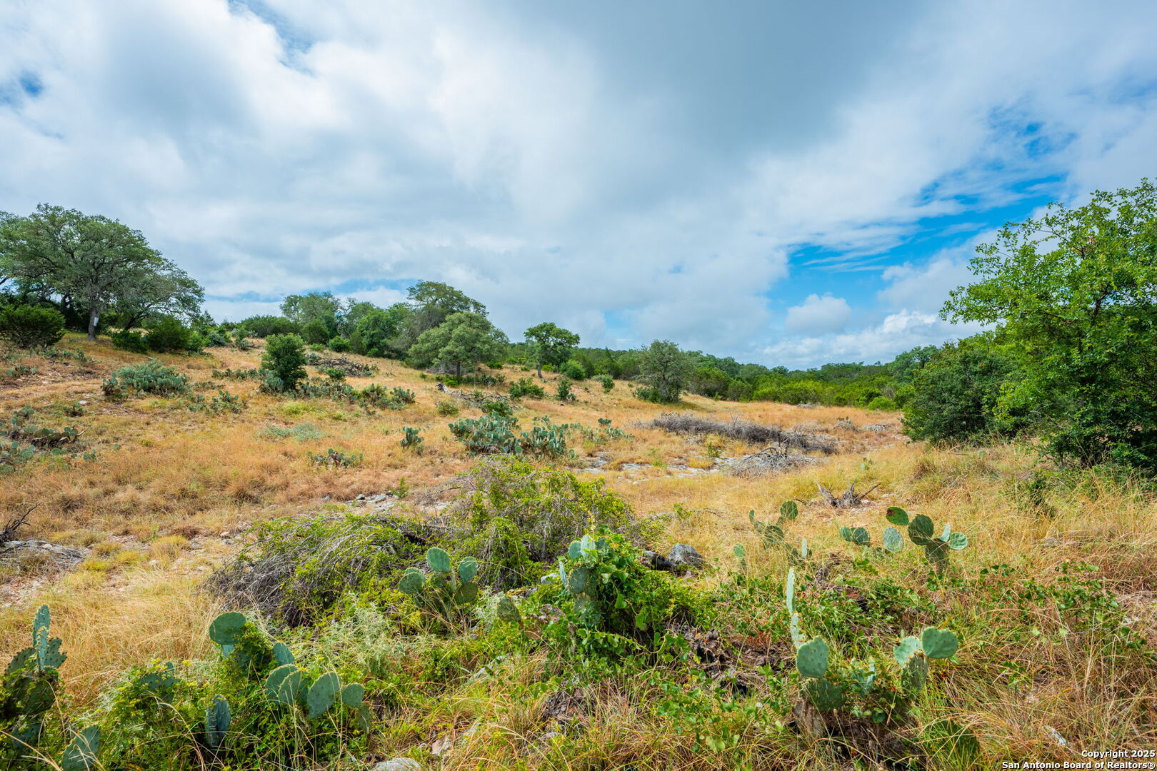485 Mitchell Ranch Road Camp Wood, TX 78833 - Photo 10 of 47 a view of a yard with a house