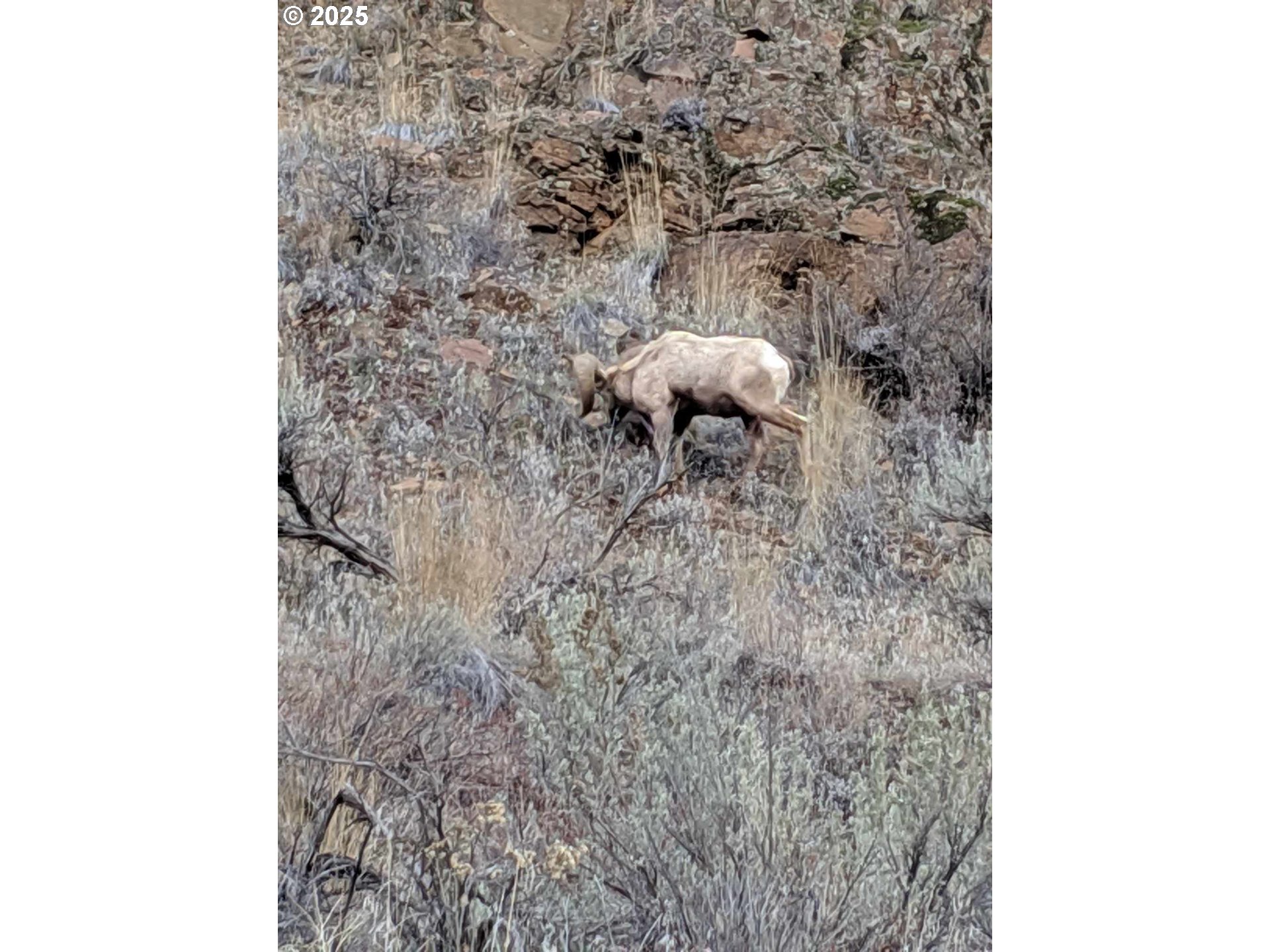 45469 Wall Crk Road Monument, OR 97864 - Photo 36 of 44