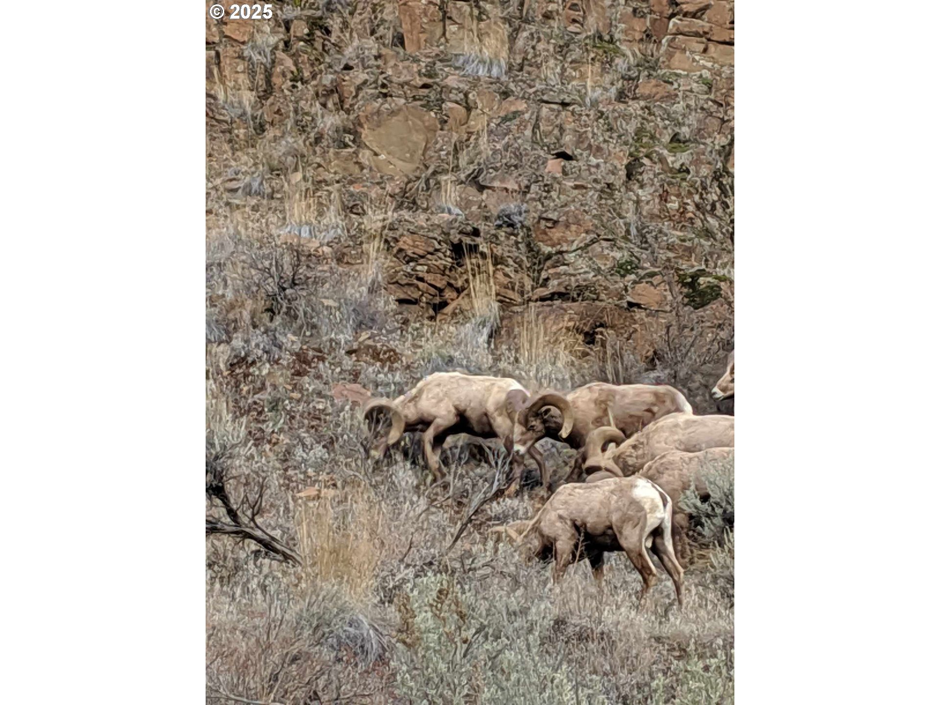 45469 Wall Crk Road Monument, OR 97864 - Photo 37 of 44