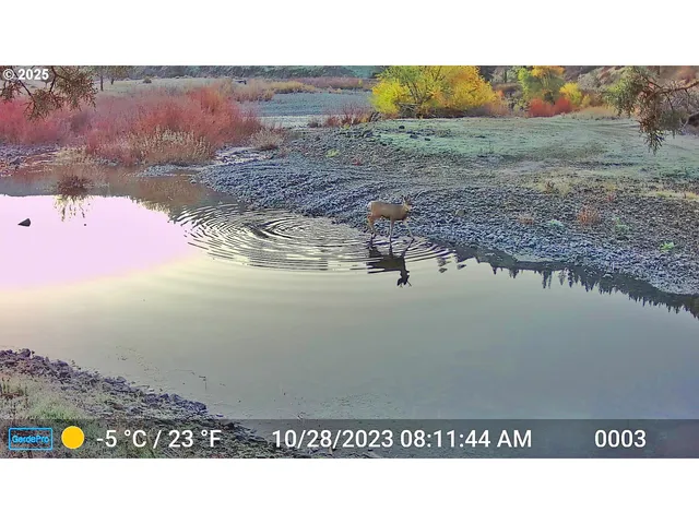 $2,475,000 | 45469 Wall Crk Road, Monument, OR 97864