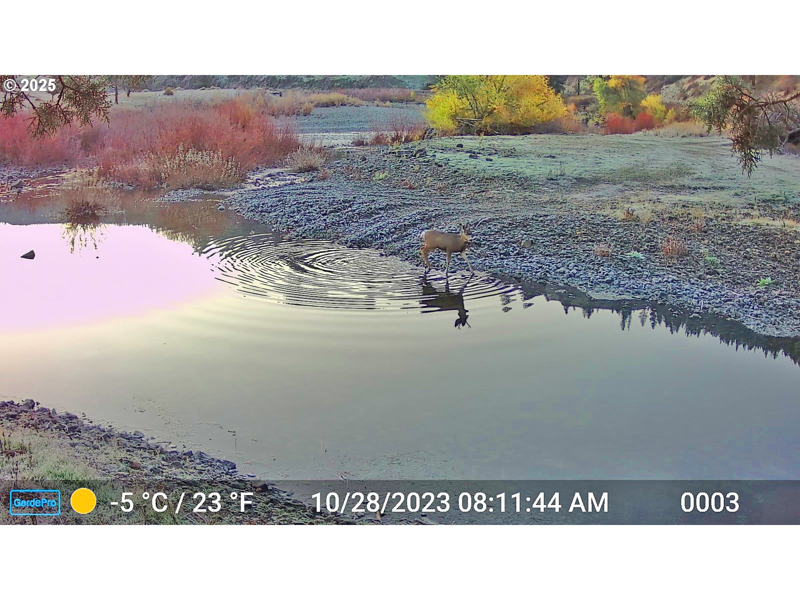 45469 Wall Crk Road Monument, OR 97864 - Photo 39 of 44