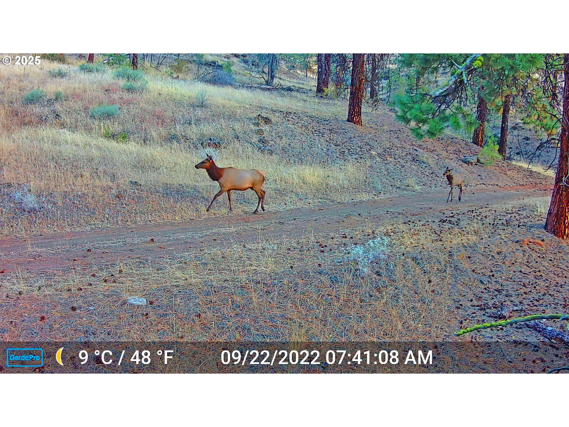 45469 Wall Crk Road Monument, OR 97864 - Photo 40 of 44