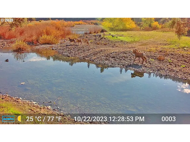 $2,475,000 | 45469 Wall Crk Road, Monument, OR 97864