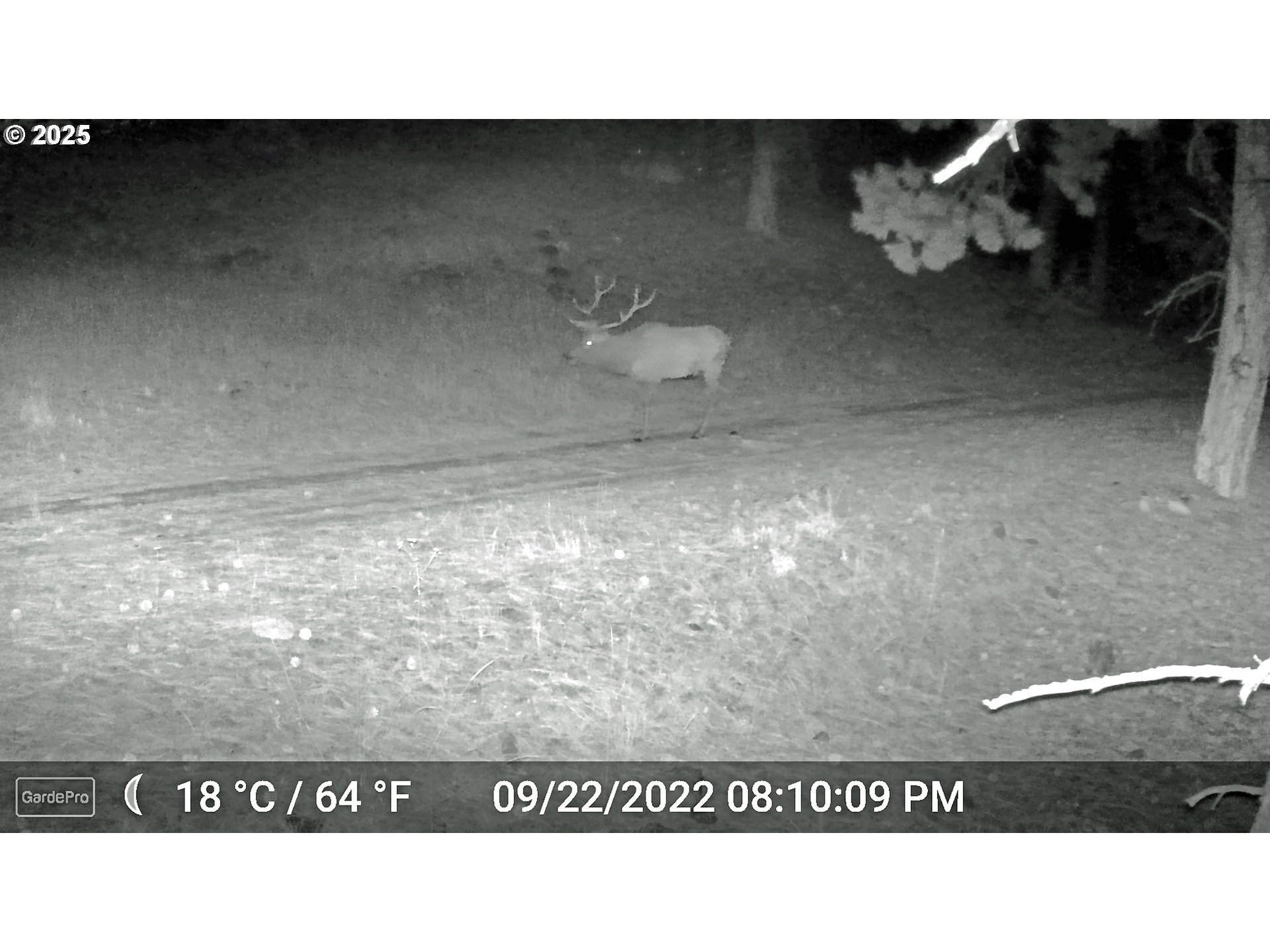 45469 Wall Crk Road Monument, OR 97864 - Photo 42 of 44