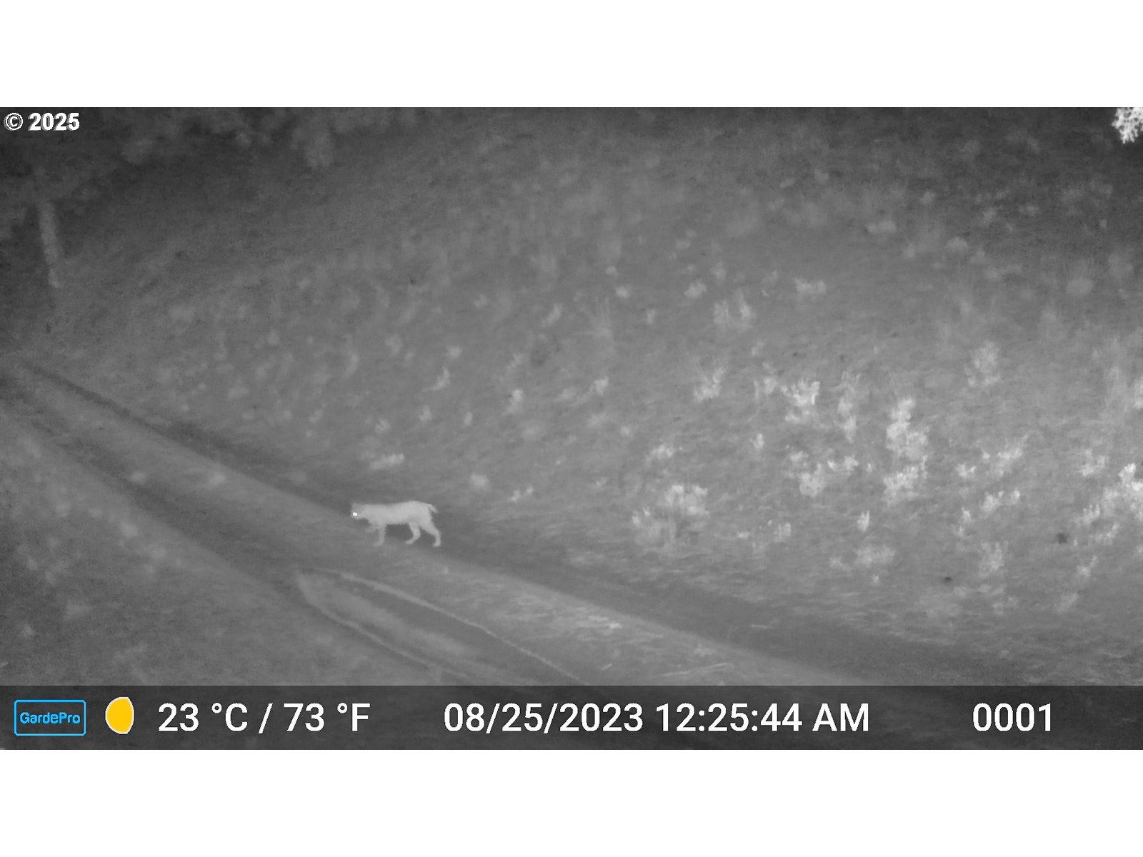 45469 Wall Crk Road Monument, OR 97864 - Photo 43 of 44