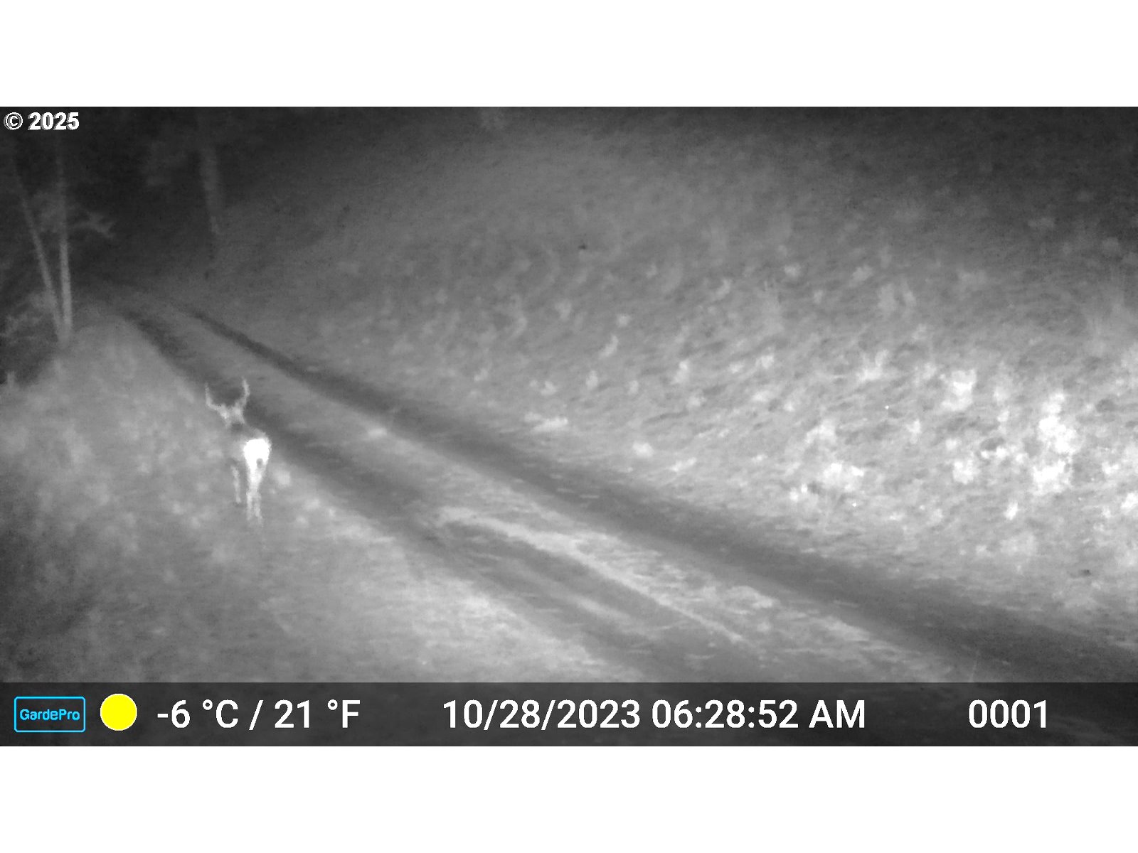 45469 Wall Crk Road Monument, OR 97864 - Photo 44 of 44