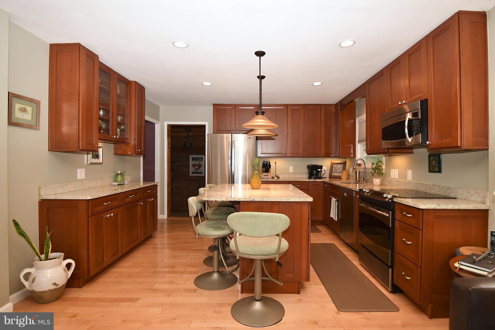 Recently Renovated Gourmet Kitchen