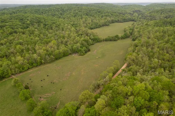 $349,900 | 352 County Road 352, Piedmont, MO 63957