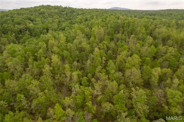 $329,900 | 352 County Road 352, Piedmont, MO 63957