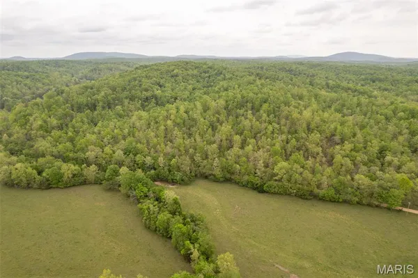 $329,900 | 352 County Road 352, Piedmont, MO 63957