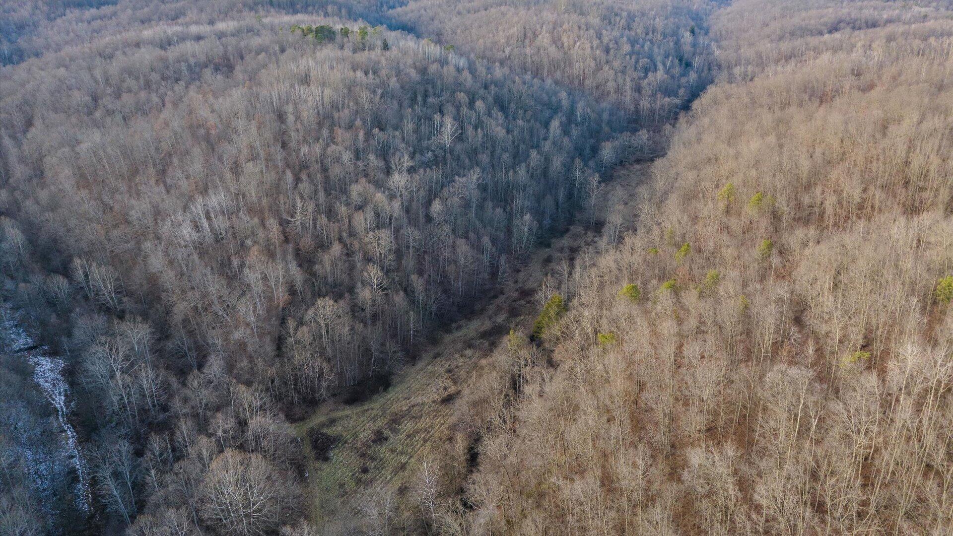 31201 Claypool Hollow Road McArthur, OH 45651 - Photo 74 of 89 082-z 31201 Claypool116