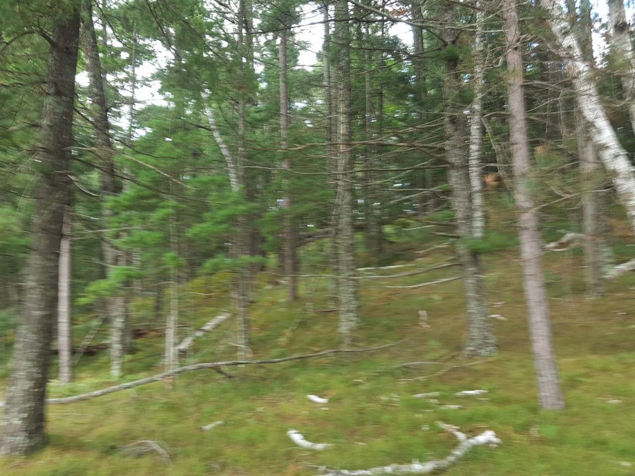 Island McPeak Road Conover, WI 54519 - Photo 15 of 55 Gallery Image 15