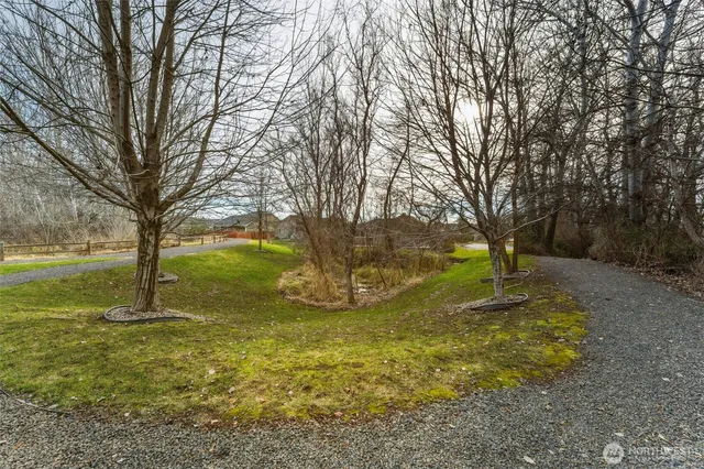 a view of yard with trees