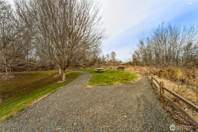 a view of a yard with an trees