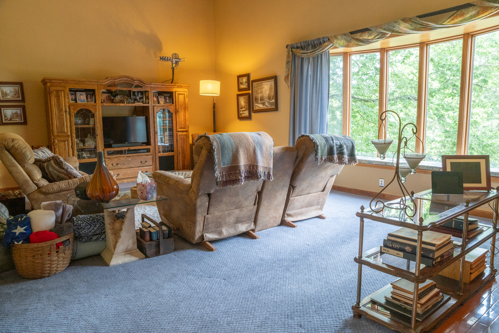 37322 Indian Spring Road Saybrook, IL 61770 - Photo 19 of 77 a living room with furniture and a flat screen tv