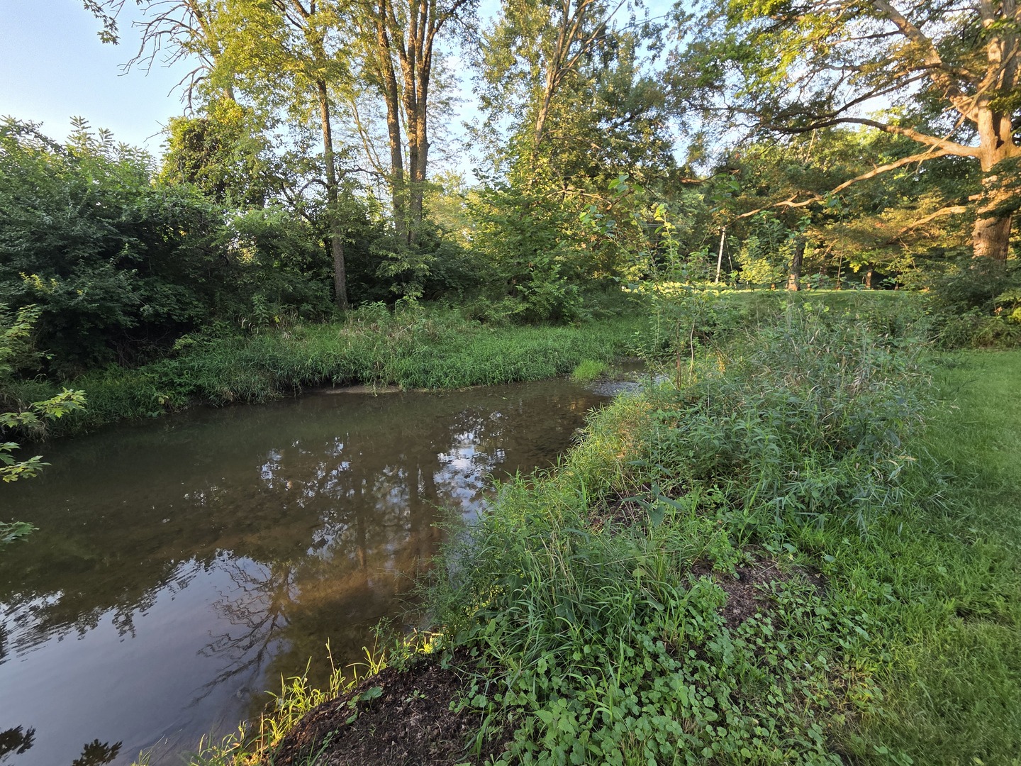 37322 Indian Spring Road Saybrook, IL 61770 - Photo 51 of 77