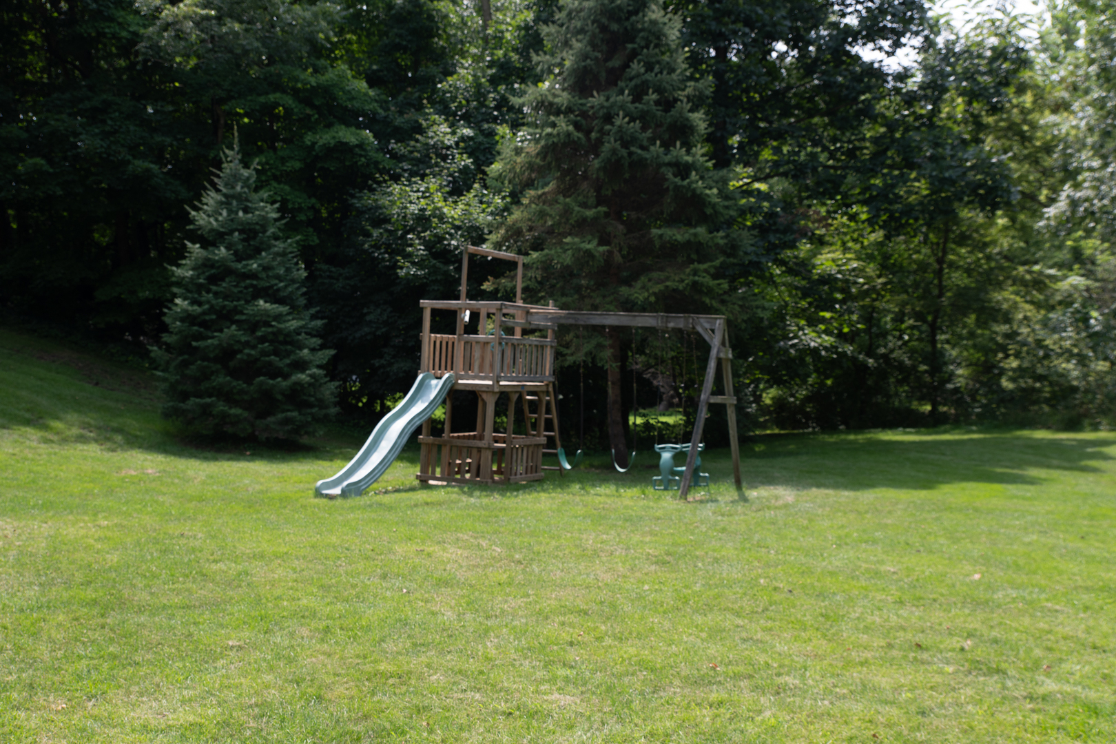 37322 Indian Spring Road Saybrook, IL 61770 - Photo 72 of 77 a view of a backyard with a slide and a large tree