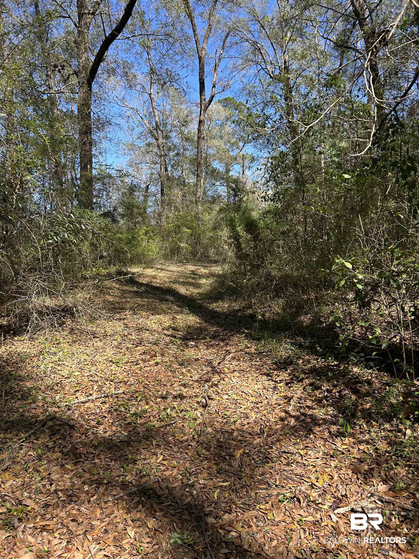 0 Fleming Lane Brewton, AL 36426 - Photo 13 of 18 View of undeveloped land