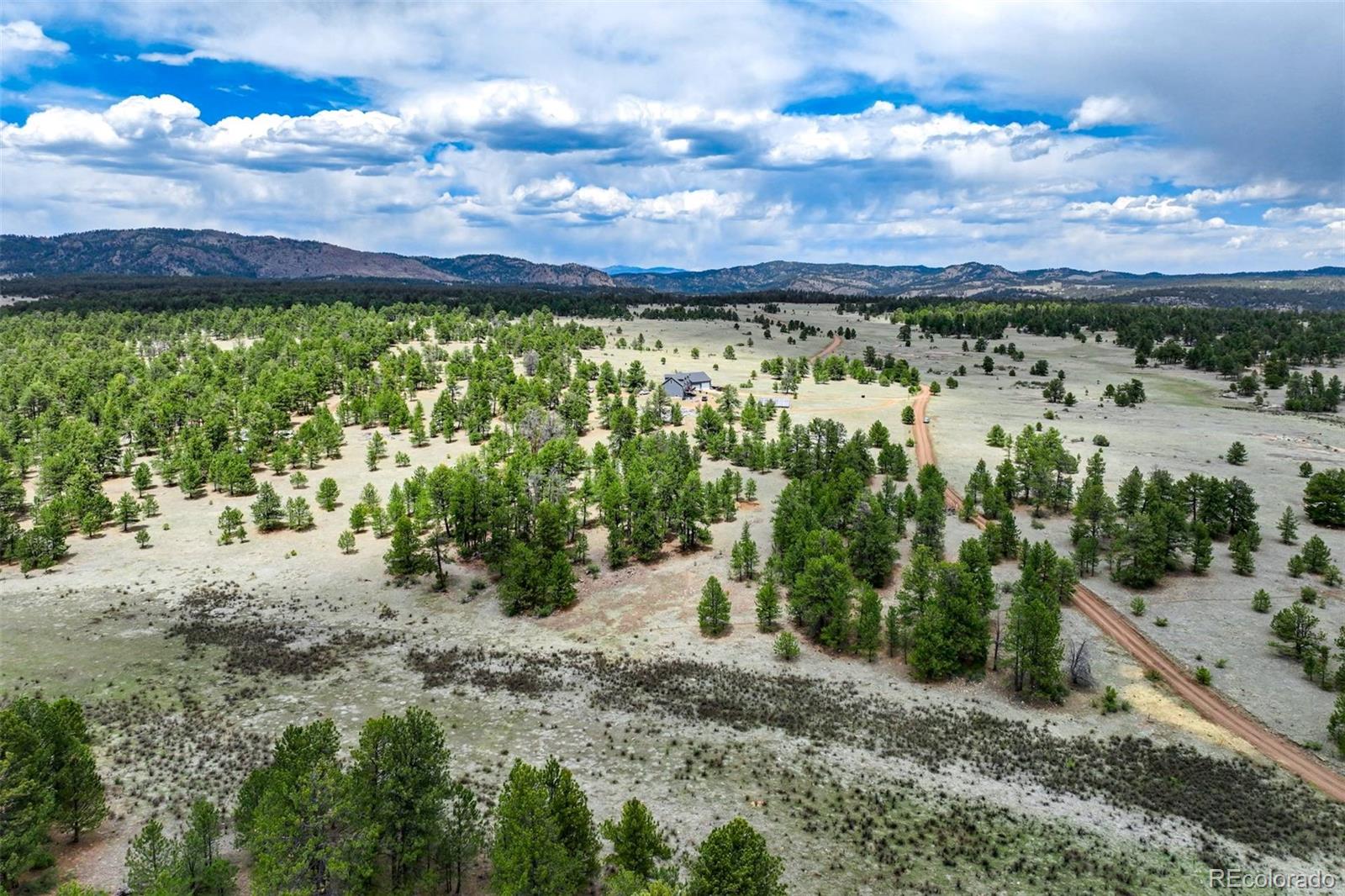 103 Doe Valley Road Guffey, CO 80820 - Photo 20 of 46