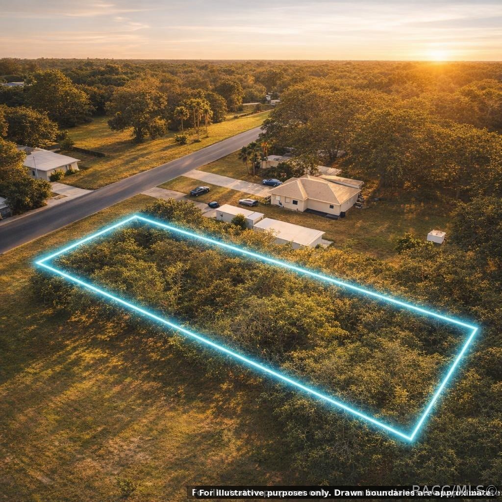 Tbd Flamingo Road Oak Hill, FL 32759 - Photo 6 of 14