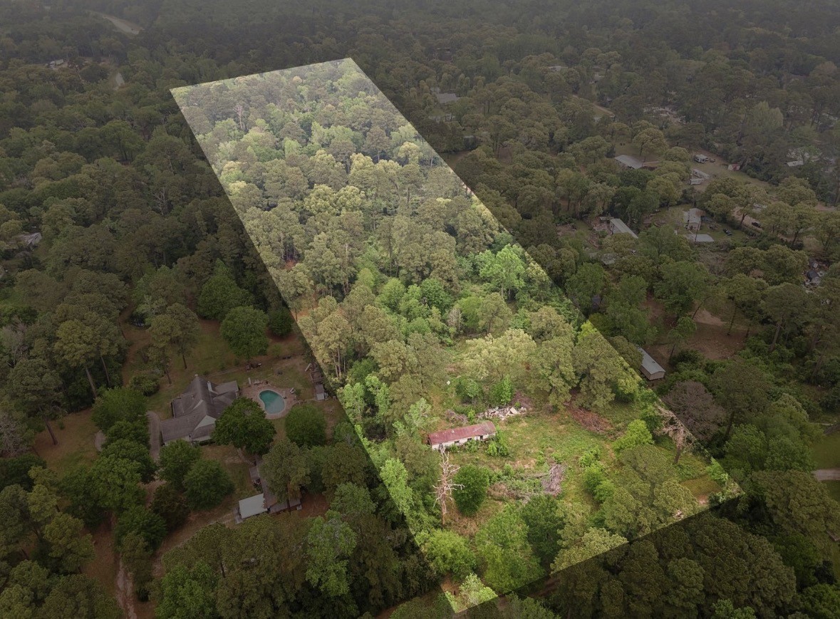 a view of a dry yard