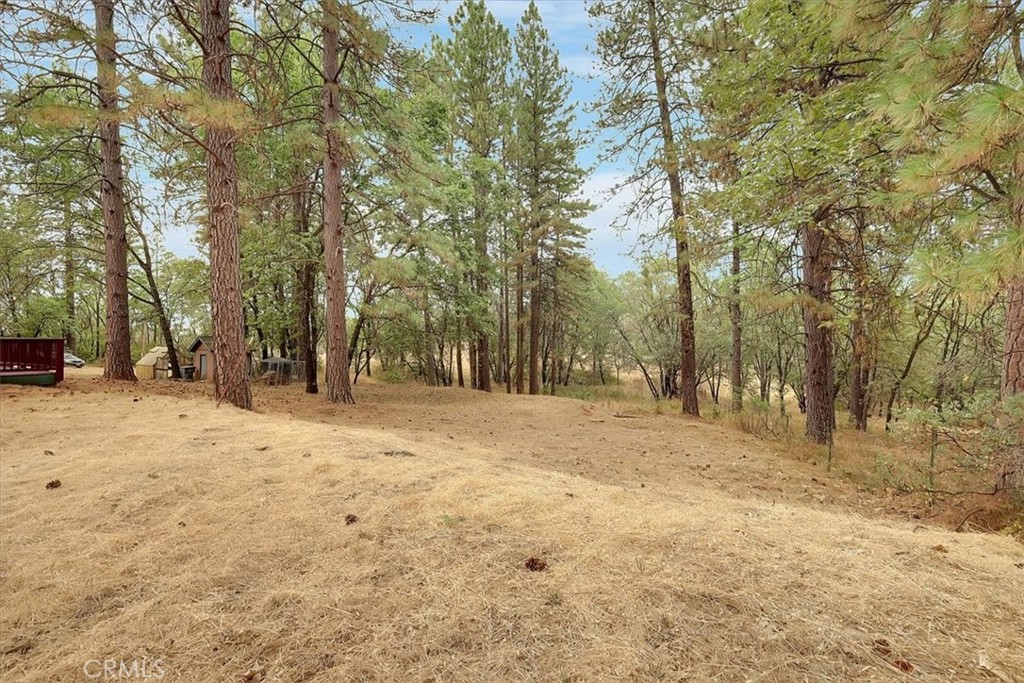 13233 Dixon Hill Road Oregon House, CA 95962 - Photo 4 of 60