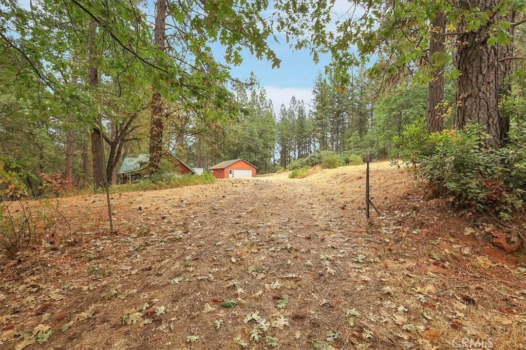13233 Dixon Hill Road Oregon House, CA 95962 - Photo 46 of 60 a view of a yard with trees